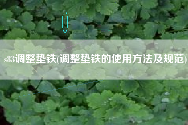 s83<a href='http://www.xingege.cn/jichuangdiantiexilie/' target='_blank' title='調(diào)整墊鐵' ><strong>調(diào)整墊鐵</strong></a>(調(diào)整墊鐵的使用方法及規(guī)范)
